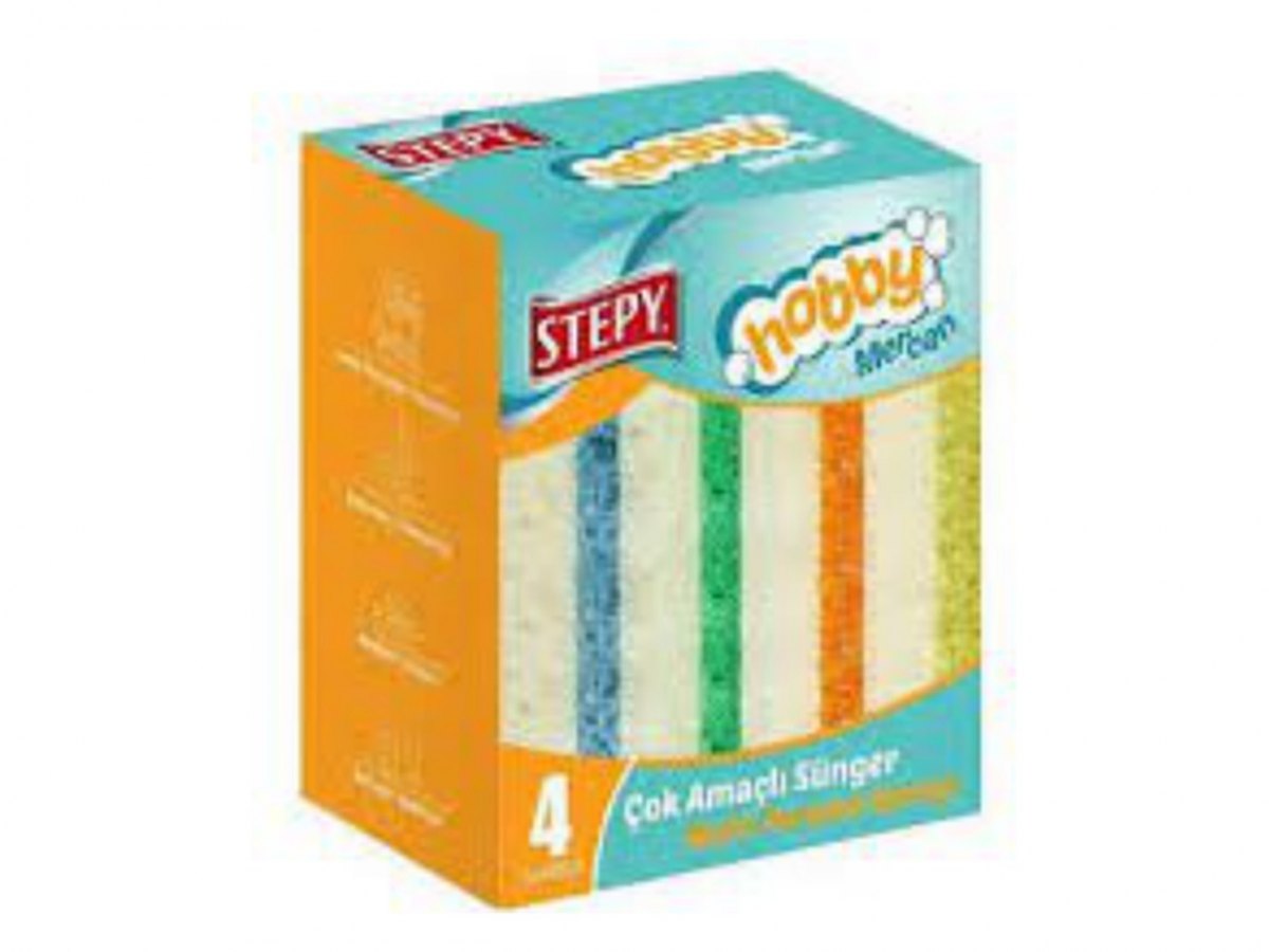 Stepy Hobby Coral Dish Sponge (4 Pieces)